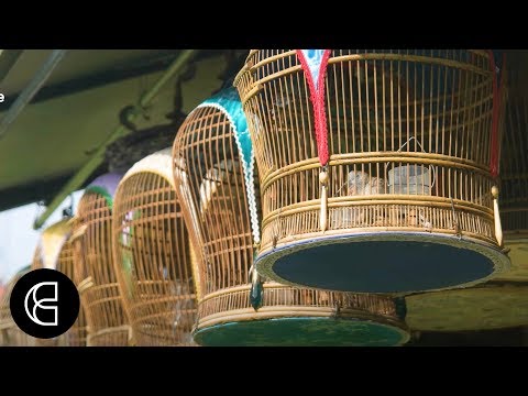 The Bird Keepers of Singapore image